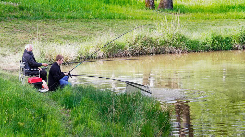 The Lodge Coppice pool with people fishing. A boy extends the landing net as it appears a fish may be on the line.